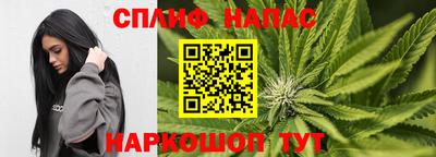 крисы Балахна